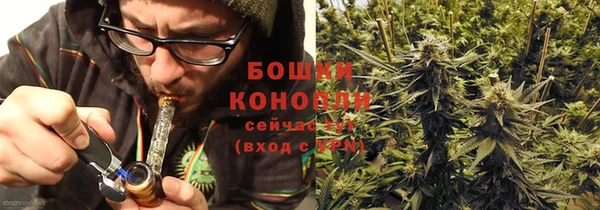 PSILOCYBIN Вязьма